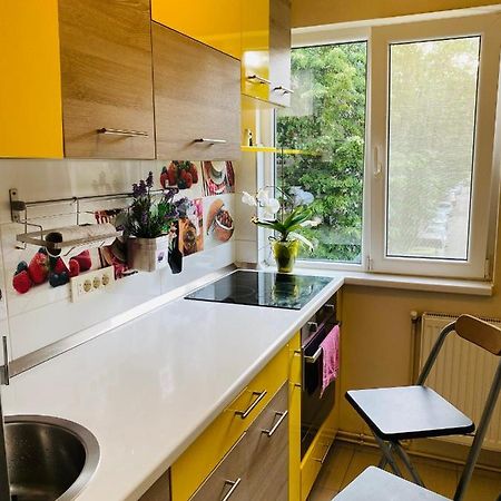 City Center Apartment Timișoara Zewnętrze zdjęcie