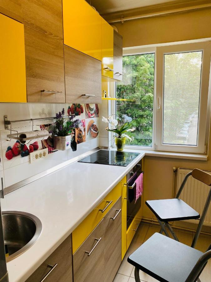City Center Apartment Timișoara Zewnętrze zdjęcie