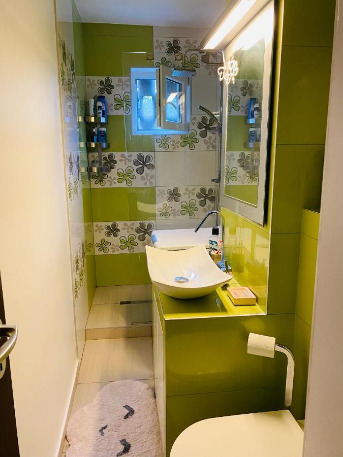 City Center Apartment Timișoara Zewnętrze zdjęcie