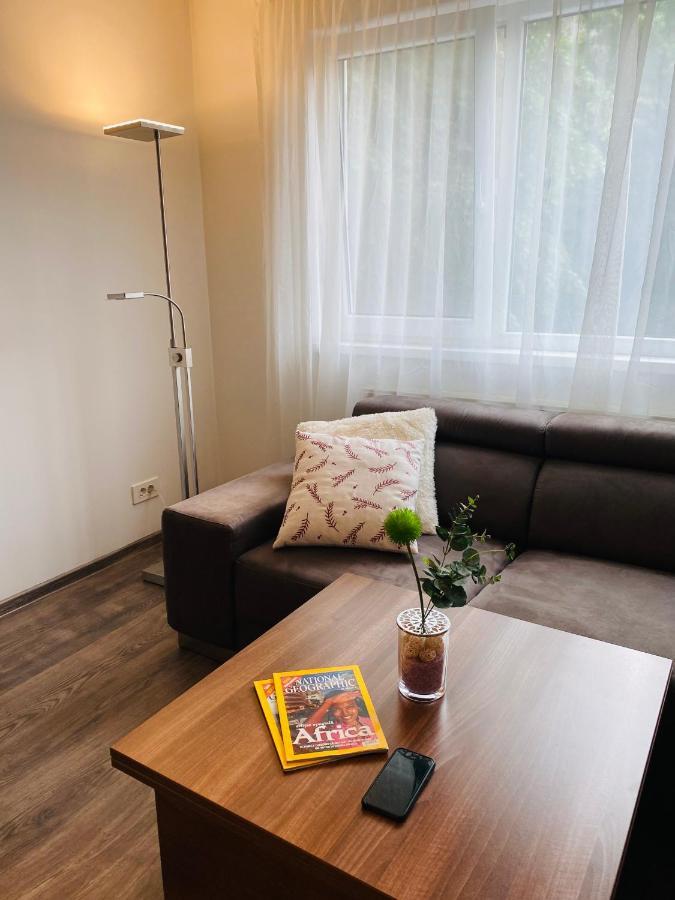 City Center Apartment Timișoara Zewnętrze zdjęcie